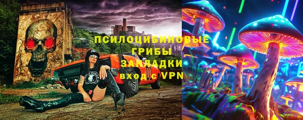 мяу мяу мука Баксан